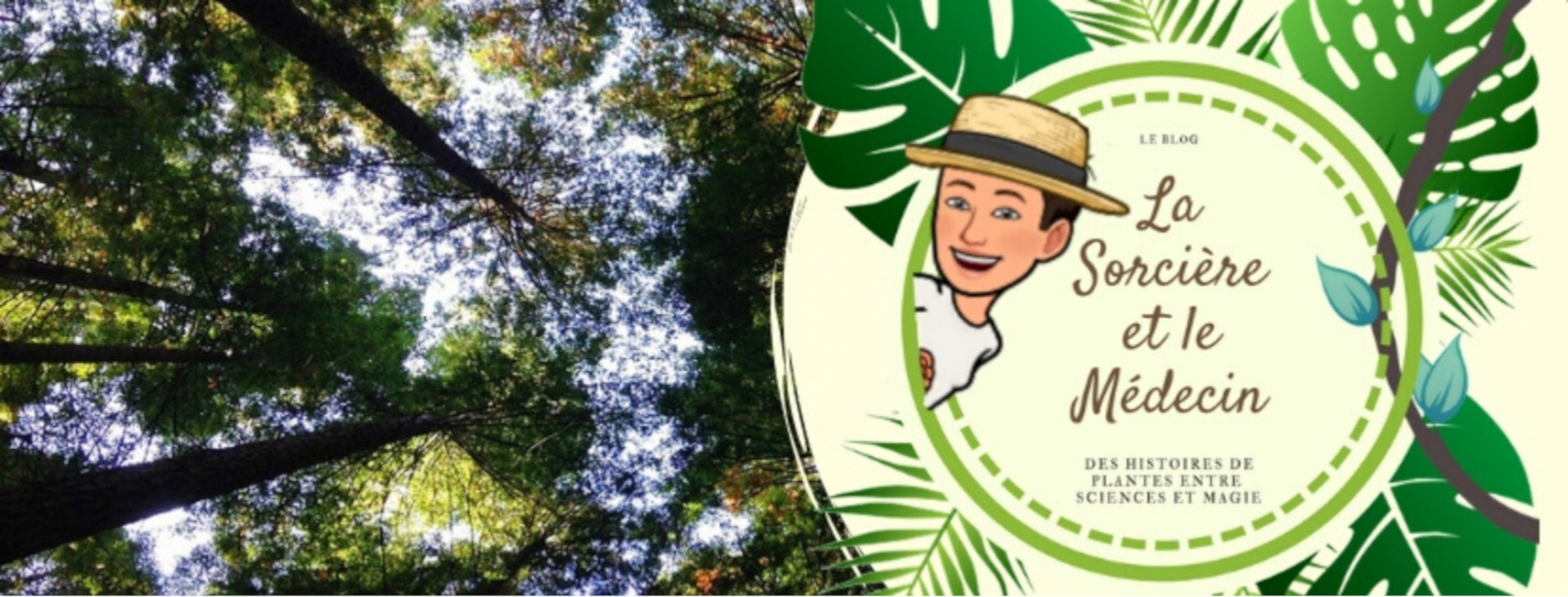 la-sorciere-et-le-medecin